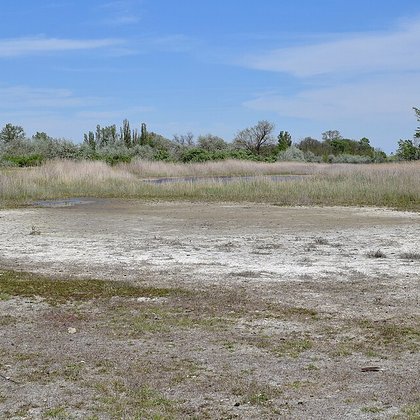 Inland salt steppes
